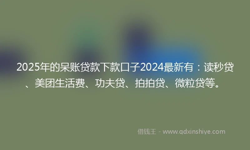 2025年的呆账贷款下款口子2024最新有：读秒贷、美团生活费、功夫贷、拍拍贷、微粒贷等。