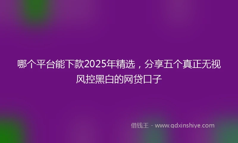 哪个平台能下款2025年精选，分享五个真正无视风控黑白的网贷口子