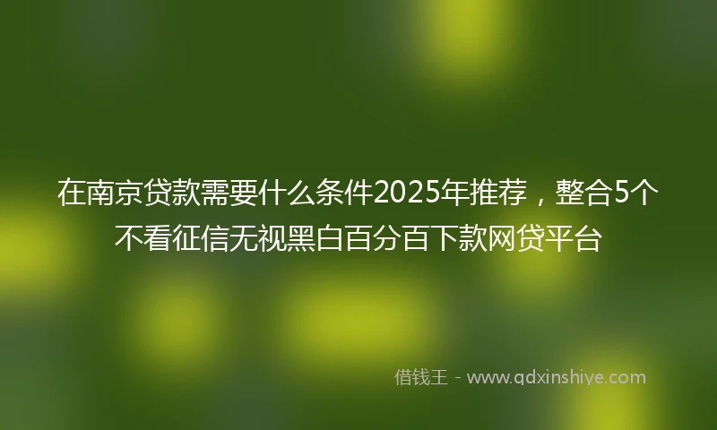在南京贷款需要什么条件2025年推荐，整合5个不看征信无视黑白百分百下款网贷平台