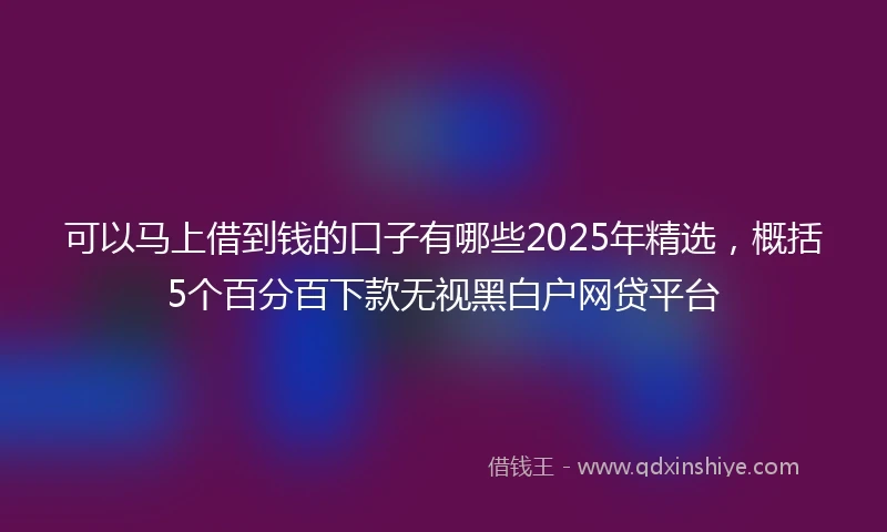 可以马上借到钱的口子有哪些2025年精选，概括5个百分百下款无视黑白户网贷平台
