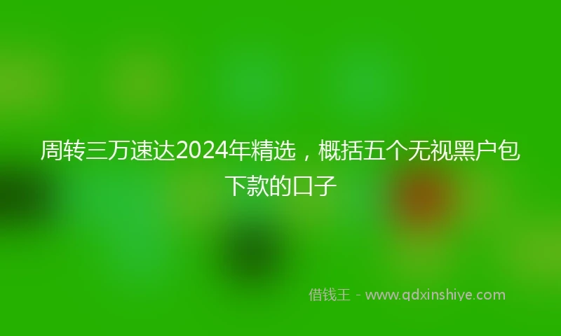 周转三万速达2024年精选，概括五个无视黑户包下款的口子