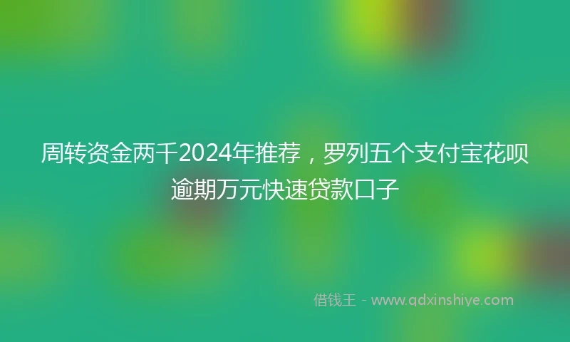 周转资金两千2024年推荐，罗列五个支付宝花呗逾期万元快速贷款口子