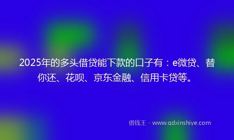 2025年的多头借贷能下款的口子有：e微贷、替你还、花呗、京东金融、信用卡贷等。
