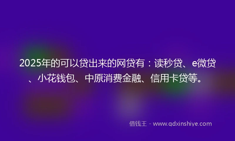 2025年的可以贷出来的网贷有：读秒贷、e微贷、小花钱包、中原消费金融、信用卡贷等。