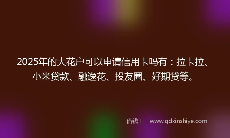 2025年的大花户可以申请信用卡吗有：拉卡拉、小米贷款、融逸花、投友圈、好期贷等。