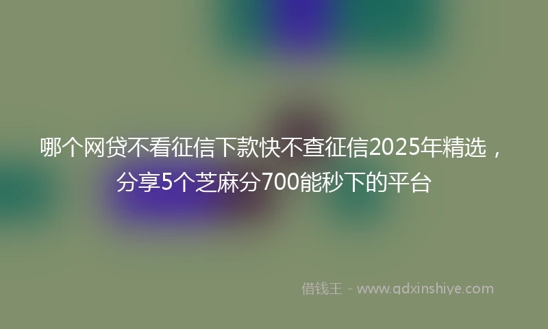哪个网贷不看征信下款快不查征信2025年精选，分享5个芝麻分700能秒下的平台