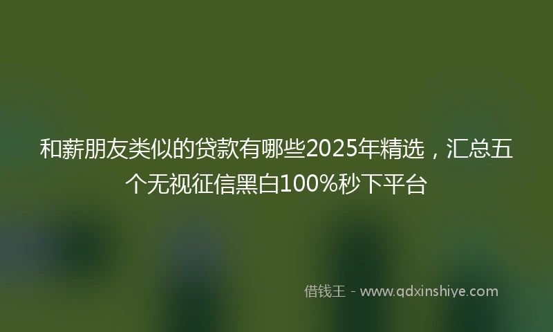 和薪朋友类似的贷款有哪些2025年精选，汇总五个无视征信黑白100%秒下平台