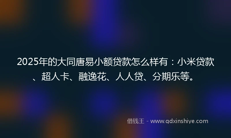 2025年的大同唐易小额贷款怎么样有：小米贷款、超人卡、融逸花、人人贷、分期乐等。