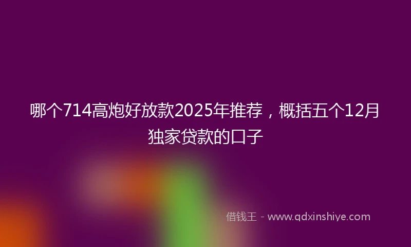 哪个714高炮好放款2025年推荐，概括五个12月独家贷款的口子