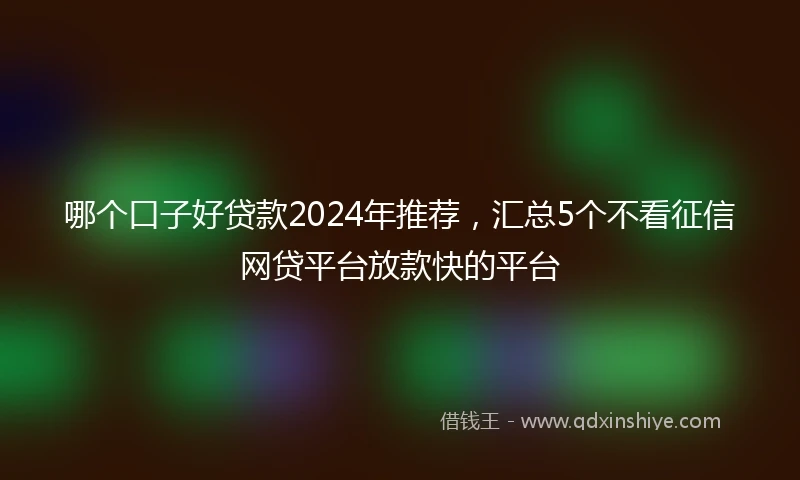 哪个口子好贷款2024年推荐，汇总5个不看征信网贷平台放款快的平台