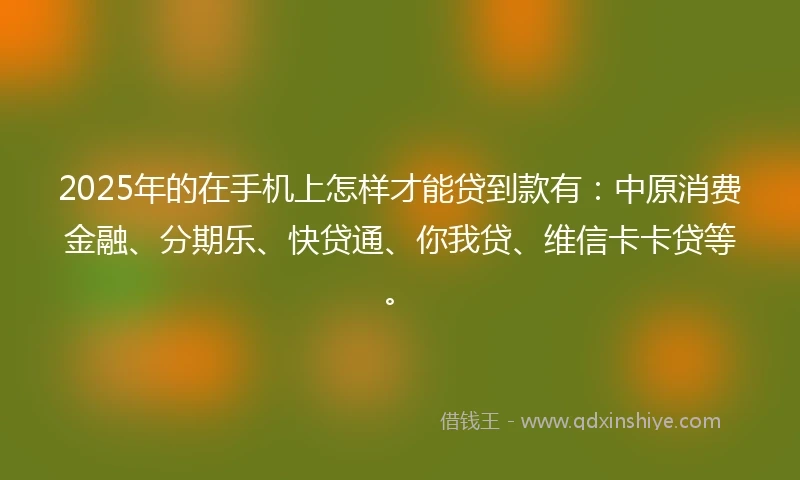 2025年的在手机上怎样才能贷到款有:中原消费金融、分期乐、快贷通、你我贷、维信卡卡贷等。