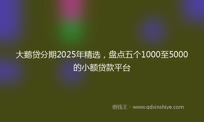大鹅贷分期2025年精选，盘点五个1000至5000的小额贷款平台