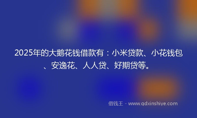 2025年的大鹅花钱借款有：小米贷款、小花钱包、安逸花、人人贷、好期贷等。