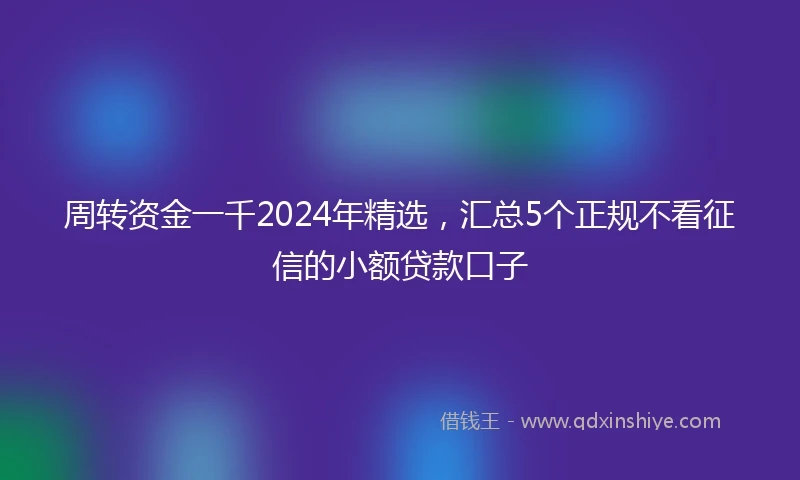 周转资金一千2024年精选，汇总5个正规不看征信的小额贷款口子