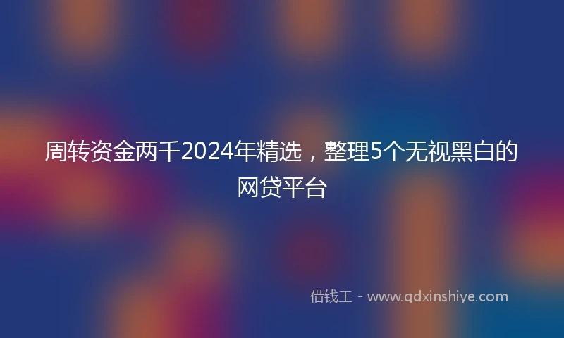 周转资金两千2024年精选,整理5个无视黑白的网贷平台