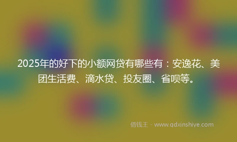 2025年的好下的小额网贷有哪些有：安逸花、美团生活费、滴水贷、投友圈、省呗等。