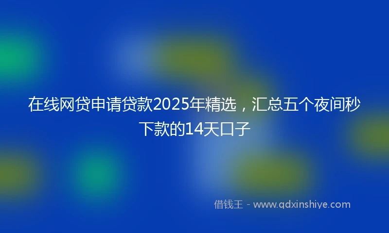 在线网贷申请贷款2025年精选，汇总五个夜间秒下款的14天口子