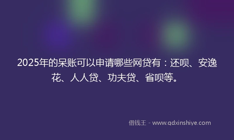 2025年的呆账可以申请哪些网贷有：还呗、安逸花、人人贷、功夫贷、省呗等。