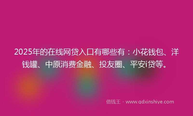 2025年的在线网贷入口有哪些有：小花钱包、洋钱罐、中原消费金融、投友圈、平安i贷等。