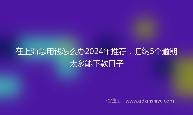 在上海急用钱怎么办2024年推荐，归纳5个逾期太多能下款口子