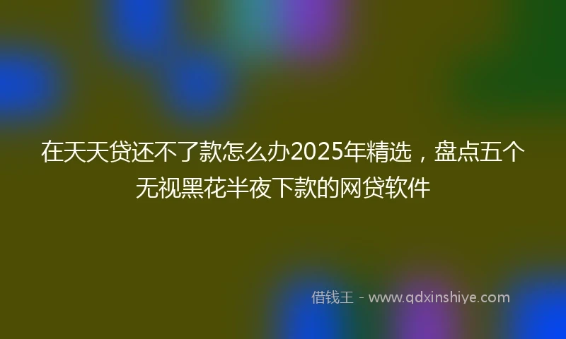 在天天贷还不了款怎么办2025年精选，盘点五个无视黑花半夜下款的网贷软件
