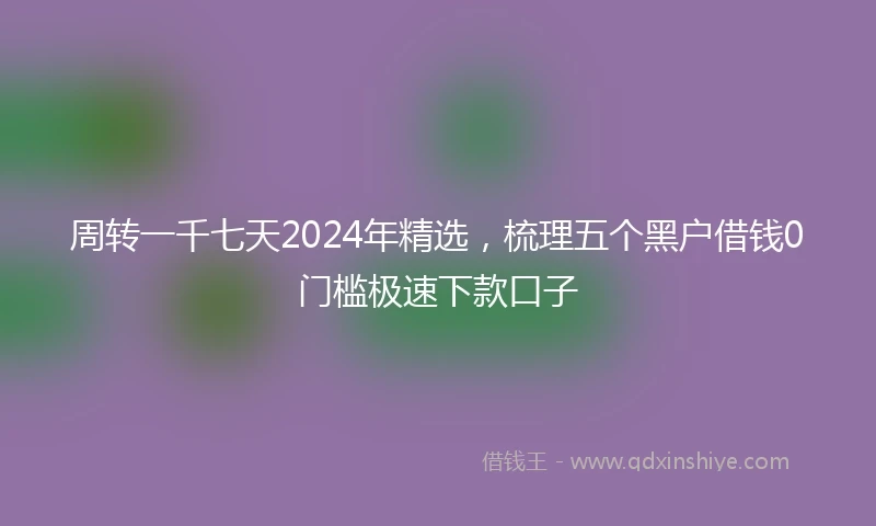 周转一千七天2024年精选，梳理五个黑户借钱0门槛极速下款口子