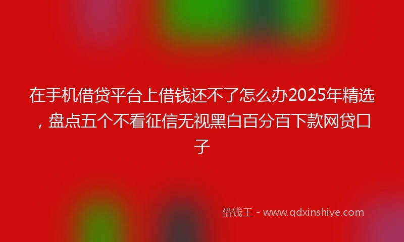 在手机借贷平台上借钱还不了怎么办2025年精选，盘点五个不看征信无视黑白百分百下款网贷口子