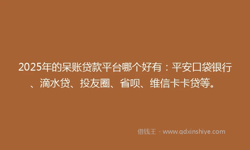 2025年的呆账贷款平台哪个好有：平安口袋银行、滴水贷、投友圈、省呗、维信卡卡贷等。