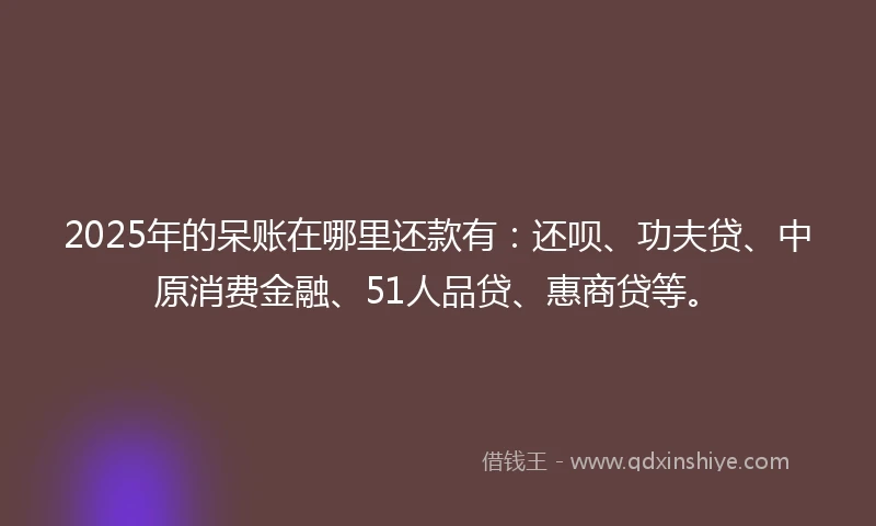 2025年的呆账在哪里还款有：还呗、功夫贷、中原消费金融、51人品贷、惠商贷等。
