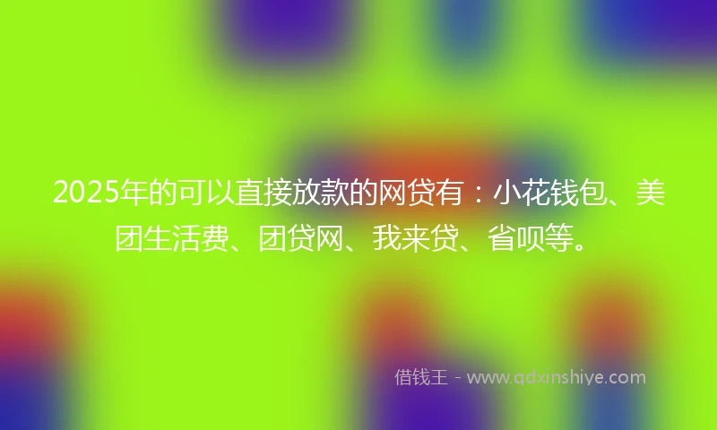 2025年的可以直接放款的网贷有：小花钱包、美团生活费、团贷网、我来贷、省呗等。
