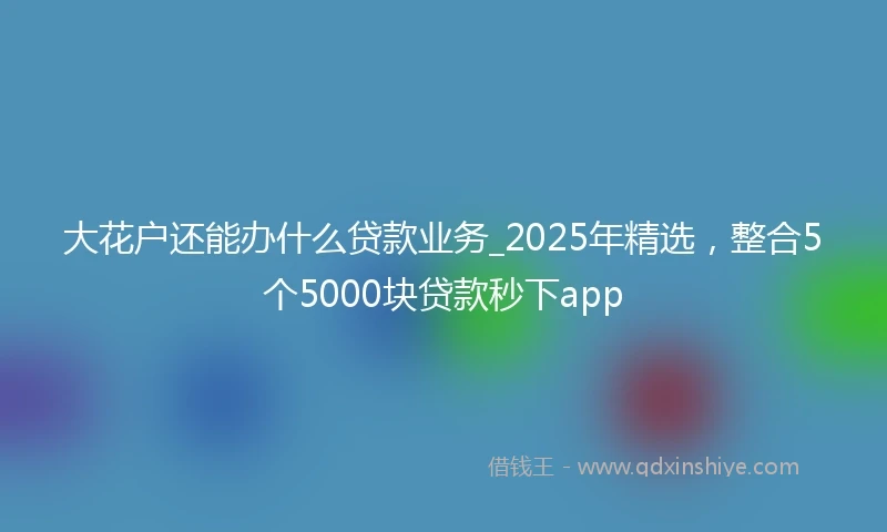 大花户还能办什么贷款业务_2025年精选，整合5个5000块贷款秒下app