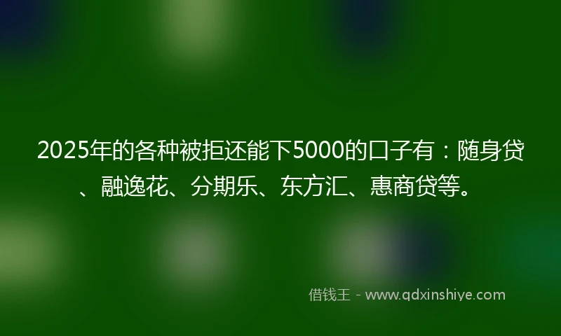 2025年的各种被拒还能下5000的口子有：随身贷、融逸花、分期乐、东方汇、惠商贷等。