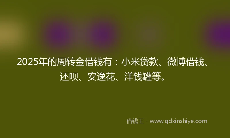 2025年的周转金借钱有：小米贷款、微博借钱、还呗、安逸花、洋钱罐等。