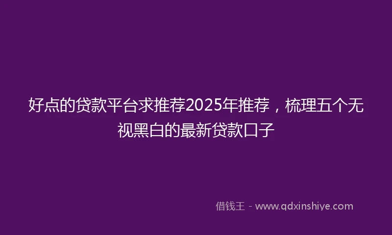 好点的贷款平台求推荐2025年推荐，梳理五个无视黑白的最新贷款口子