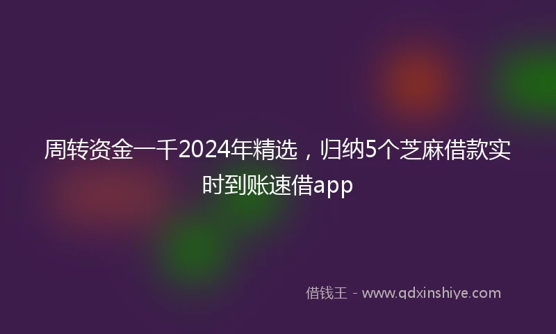 周转资金一千2024年精选，归纳5个芝麻借款实时到账速借app