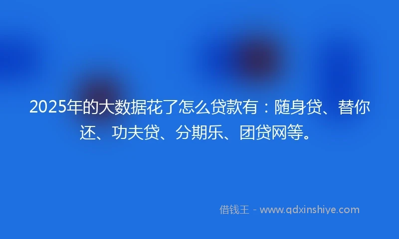 2025年的大数据花了怎么贷款有：随身贷、替你还、功夫贷、分期乐、团贷网等。