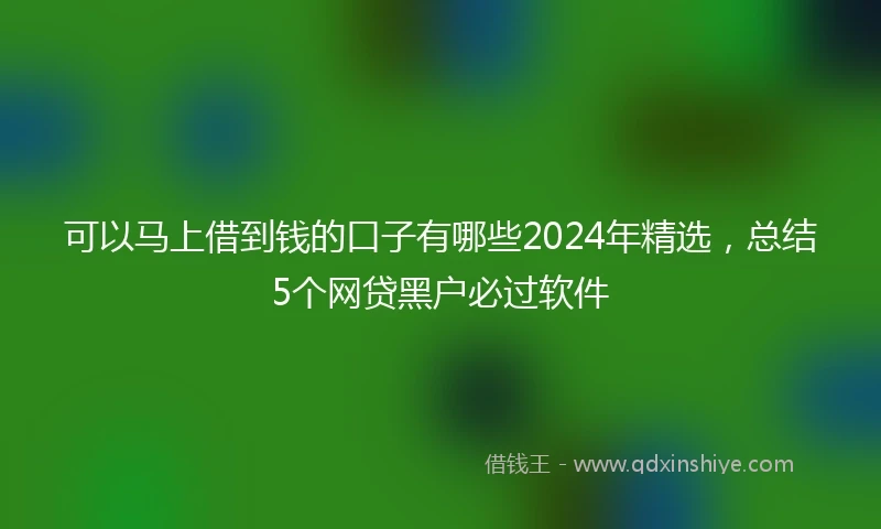 可以马上借到钱的口子有哪些2024年精选，总结5个网贷黑户必过软件
