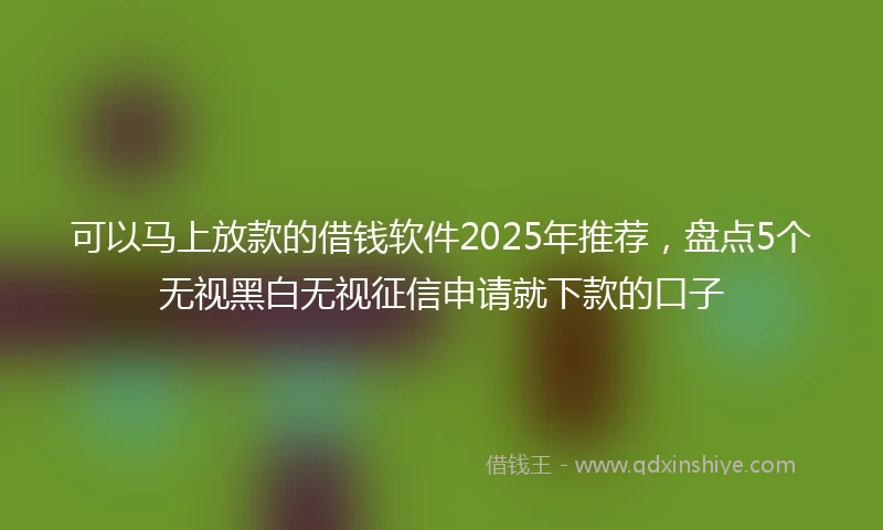 可以马上放款的借钱软件2025年推荐，盘点5个无视黑白无视征信申请就下款的口子