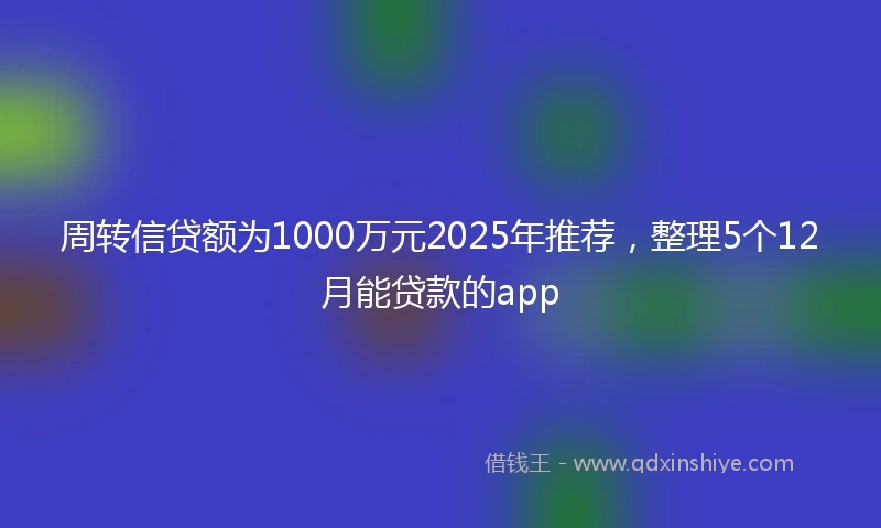 周转信贷额为1000万元2025年推荐，整理5个12月能贷款的app