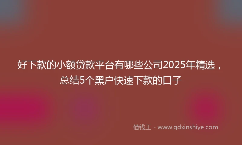 好下款的小额贷款平台有哪些公司2025年精选，总结5个黑户快速下款的口子