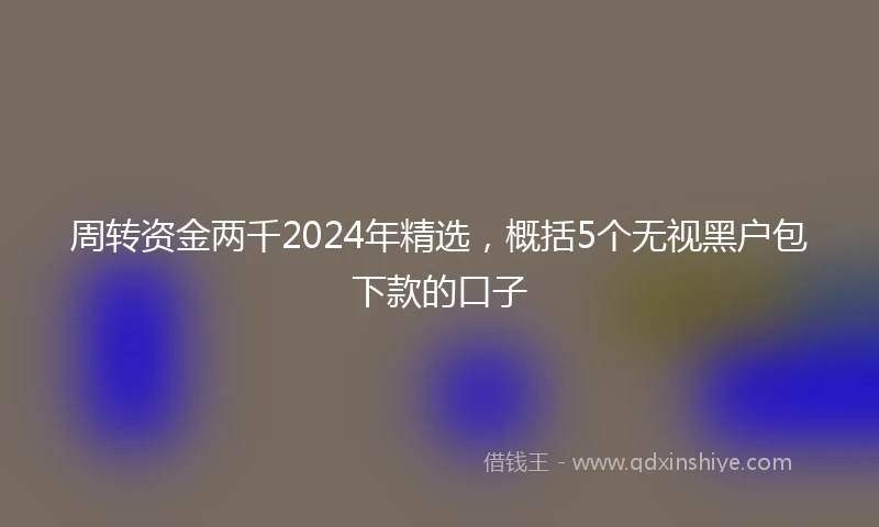 周转资金两千2024年精选,概括5个无视黑户包下款的口子