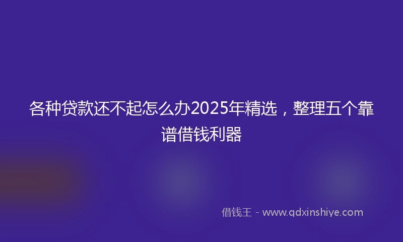 各种贷款还不起怎么办2025年精选，整理五个靠谱借钱利器