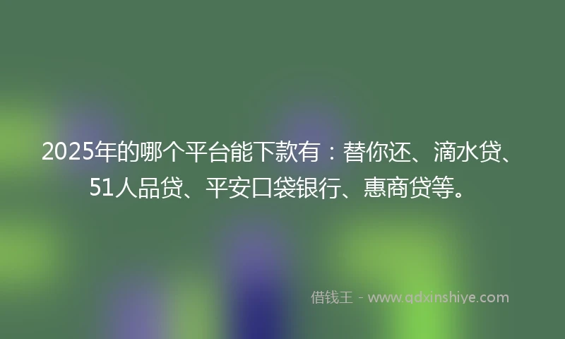 2025年的哪个平台能下款有：替你还、滴水贷、51人品贷、平安口袋银行、惠商贷等。