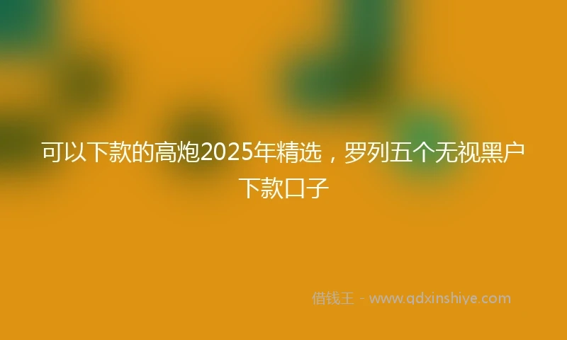 可以下款的高炮2025年精选，罗列五个无视黑户下款口子