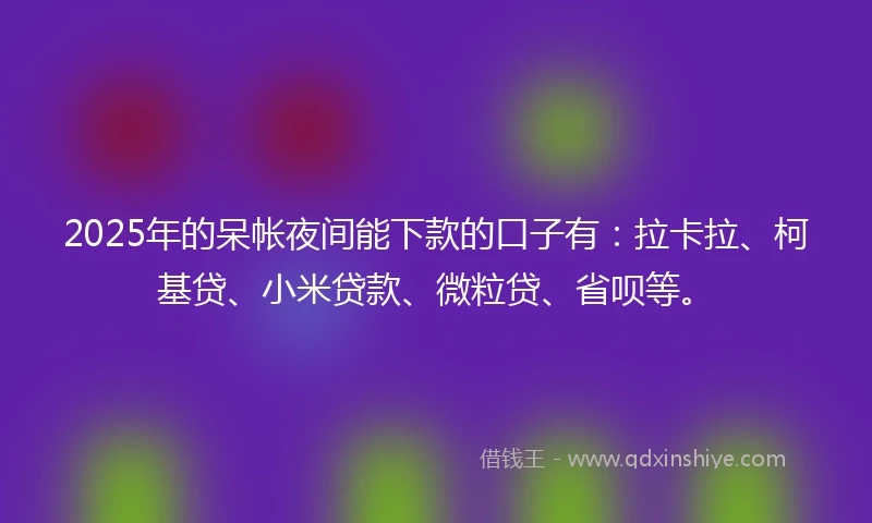 2025年的呆帐夜间能下款的口子有：拉卡拉、柯基贷、小米贷款、微粒贷、省呗等。