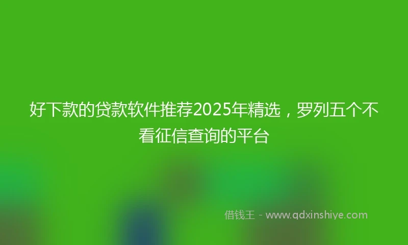 好下款的贷款软件推荐2025年精选，罗列五个不看征信查询的平台