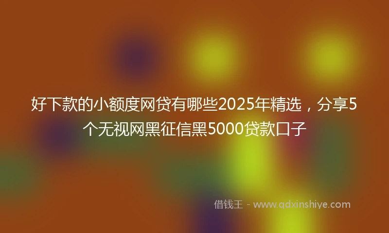 好下款的小额度网贷有哪些2025年精选，分享5个无视网黑征信黑5000贷款口子