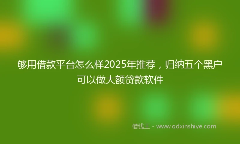 够用借款平台怎么样2025年推荐，归纳五个黑户可以做大额贷款软件