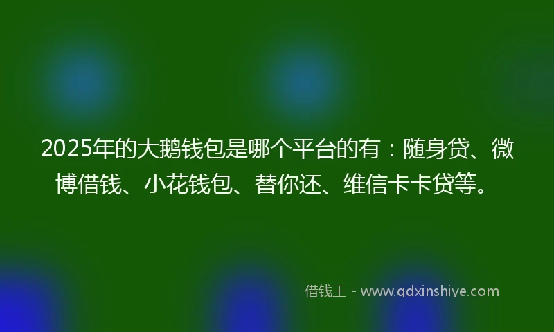 2025年的大鹅钱包是哪个平台的有：随身贷、微博借钱、小花钱包、替你还、维信卡卡贷等。