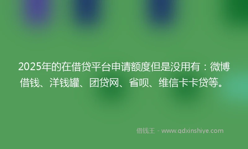 2025年的在借贷平台申请额度但是没用有：微博借钱、洋钱罐、团贷网、省呗、维信卡卡贷等。
